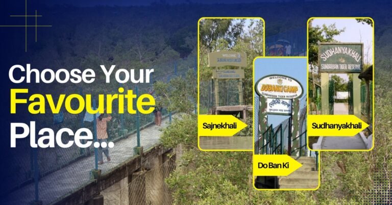 Top Sundarban tourist spots including watchtowers, mangrove trails, and river cruises