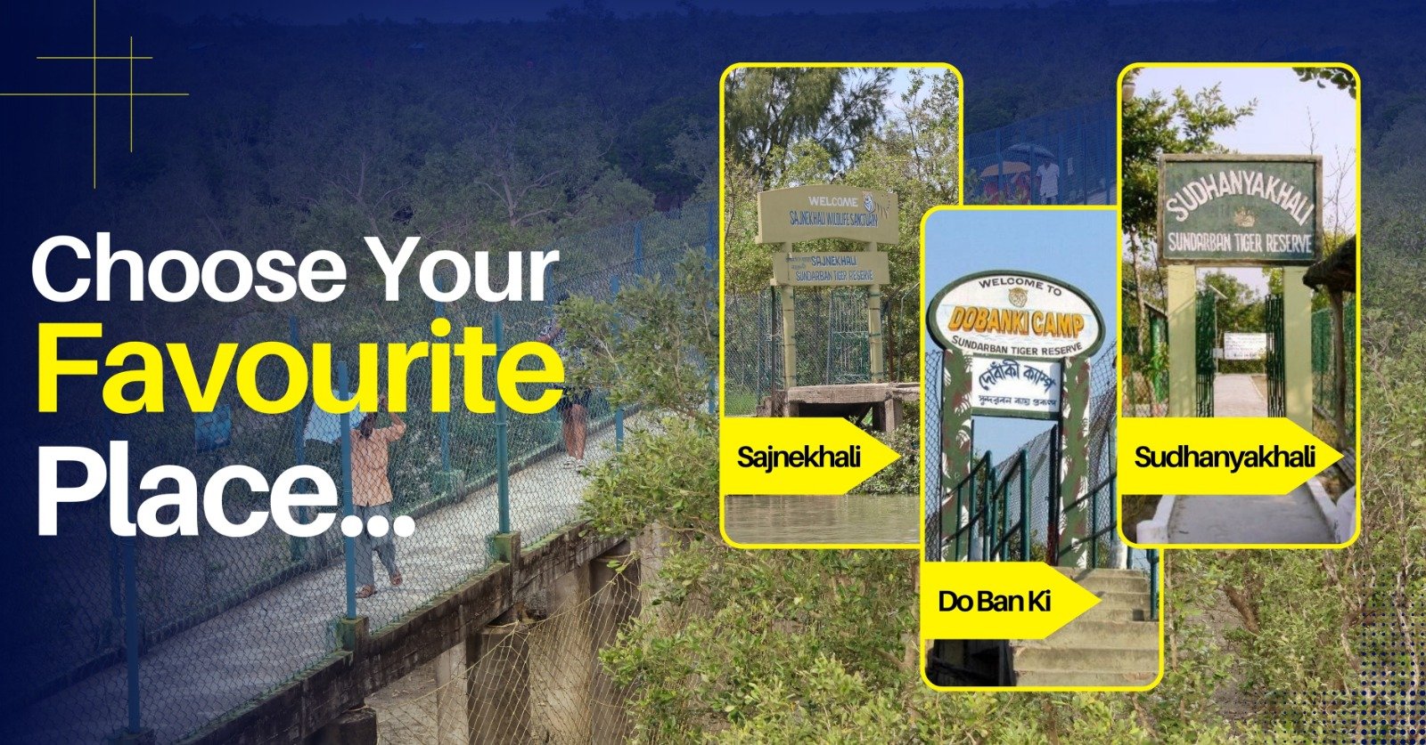 Top Sundarban tourist spots including watchtowers, mangrove trails, and river cruises