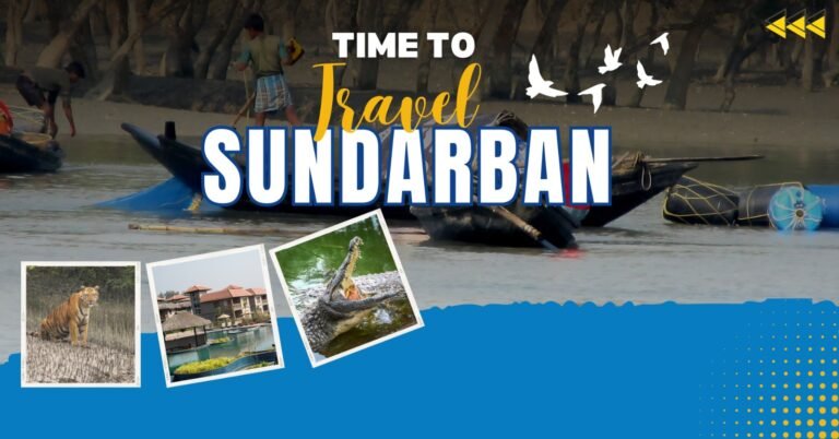 Best time to visit Sundarban for eco tourism