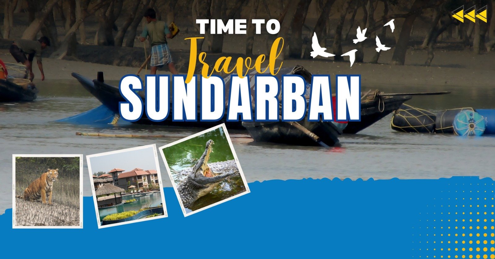 Best time to visit Sundarban for eco tourism