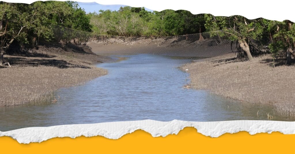 Seasonal climate guide for planning your Sundarban tour